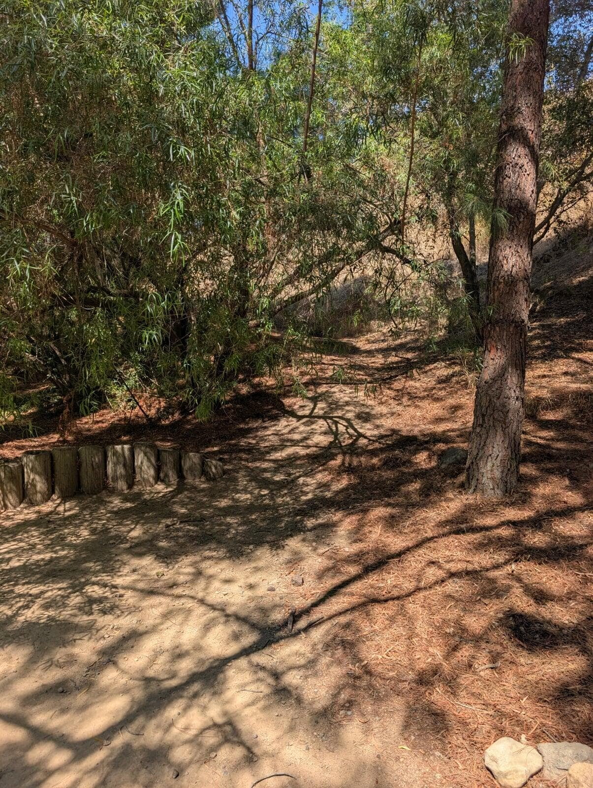Path up Hill