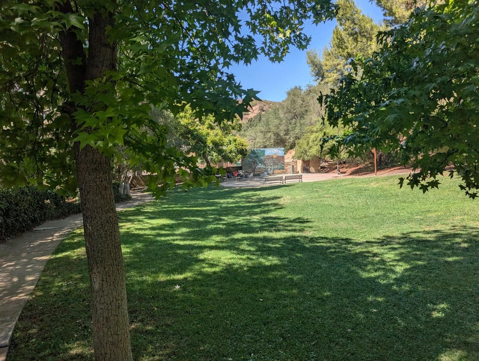 View from Playground