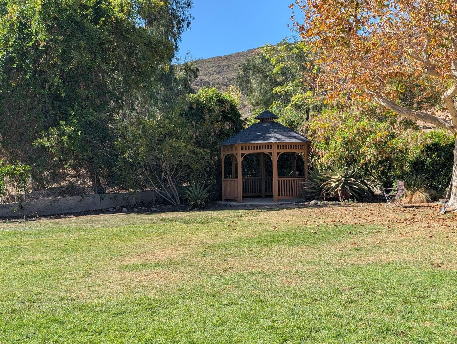 Park and Gazebo
